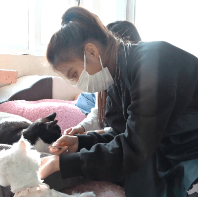 fromis-20190130-144049-005.gif
