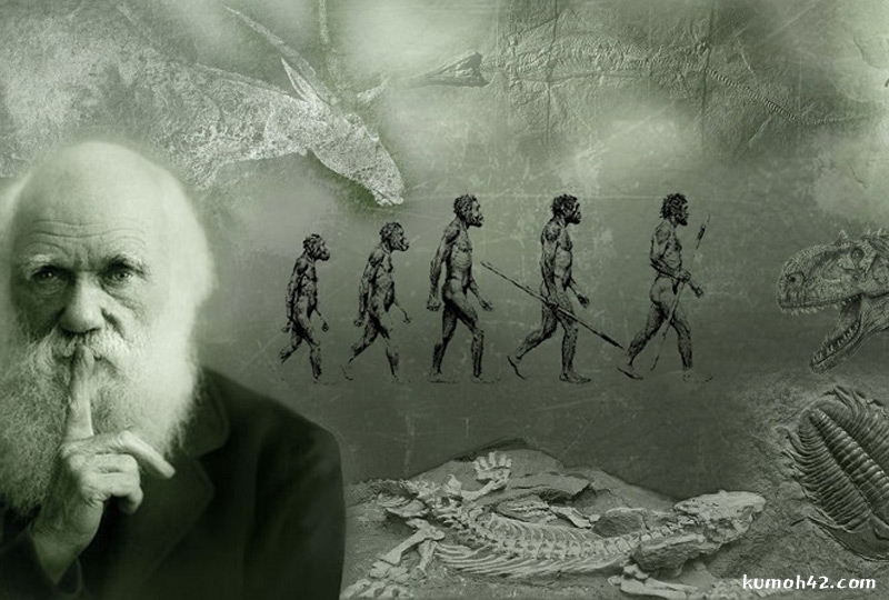 darwin-evolution-inri-cristo.jpg